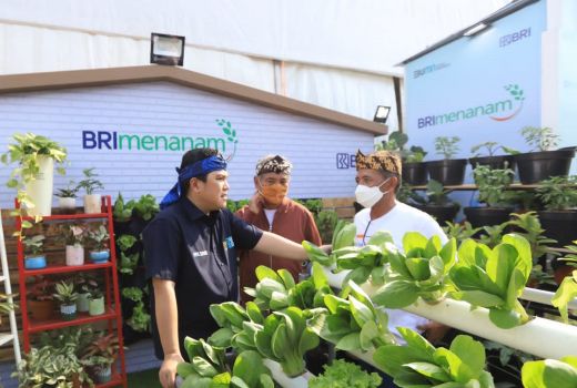BRI Menanam Target Tanam 1,75 Juta Bibit Pohon Produktif - GenPI.co NTB