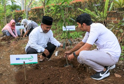 BRI Menanam Serap Karbon Hingga 108 Ribu Ton CO2 - GenPI.co NTB