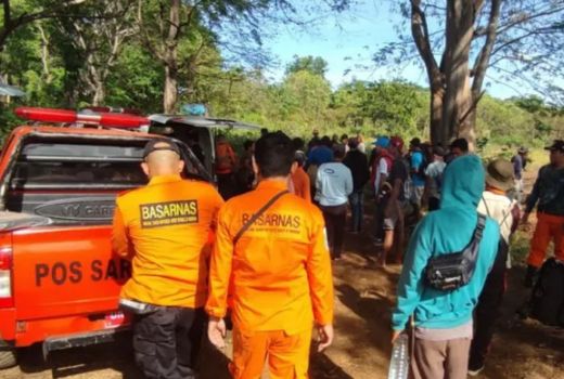 Pergi Cari Madu, Warga Sambelia Lombok Timur Hilang - GenPI.co NTB