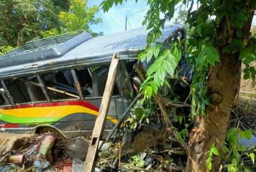 Mini Bus Berisi 20 Orang di Lombok Timur Masuk Jurang - GenPI.co NTB