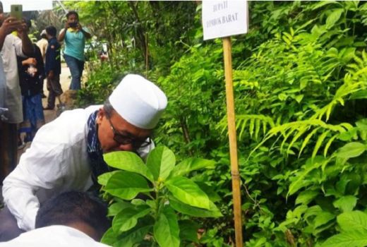Begini Cara BPDAS Jaga Kawasan Wisata Senggigi - GenPI.co NTB