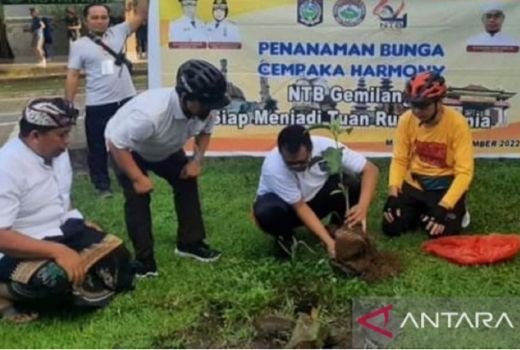 Pohon Cempaka Harmoni Simbol Toleransi di NTB - GenPI.co NTB