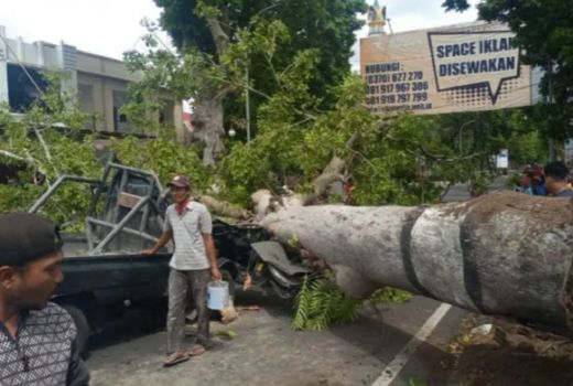 BMKG Imbau Warga NTB Waspada Hujan Disertai Angin - GenPI.co NTB