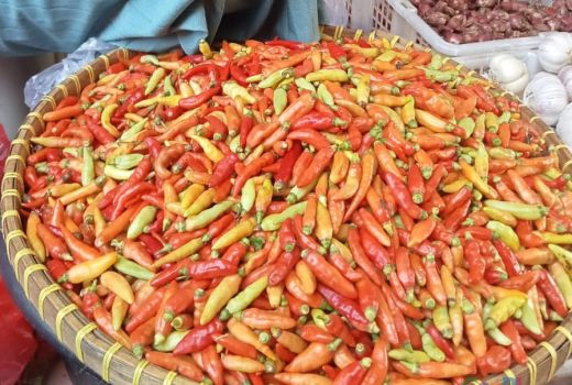 Harga Cabai Melambung, Pedagang Pusing karena Sepi Pembeli - GenPI.co NTB