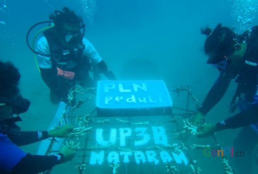 Jaga Ekosistem Laut di Lotim, PLN Tanam Terumbu Karang di 3 Gili - GenPI.co NTB