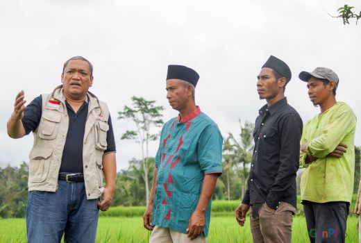 Dorong Food Estate, HBK Sebut DAM Mujur Lombok Tengah - GenPI.co NTB