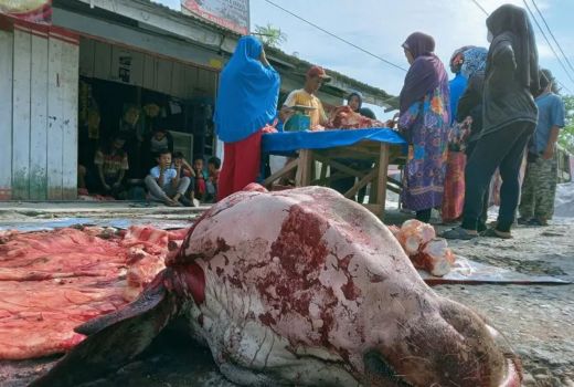 Awal Puasa Ramadan, Harga Daging Sapi Rp 150 Ribu - GenPI.co RIAU