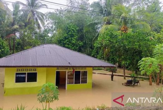 Kuantan Singingi Banjir Karena Penambang Emas Ilegal - GenPI.co RIAU