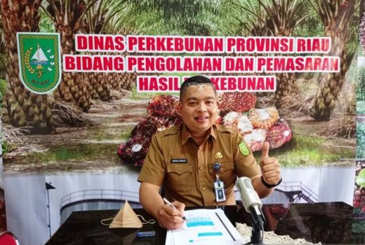 Larangan Ekspor Bikin Harga Minyak Sawit Mentah Naik - GenPI.co RIAU