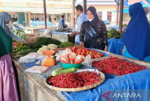 Duh! Harga Cabai di Bengkalis Tembus Rp110 Ribu - GenPI.co RIAU