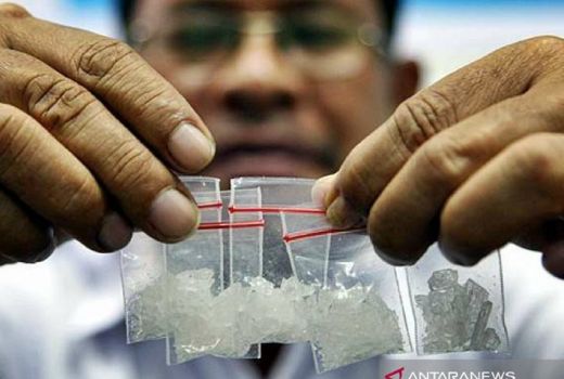 Ini Pesan Wakil Bupati Bengkalis untuk PMII, Simak - GenPI.co RIAU