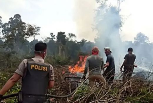 Polda Riau Tangkap 9 Pelaku Karhutla, di Mana Saja? - GenPI.co RIAU