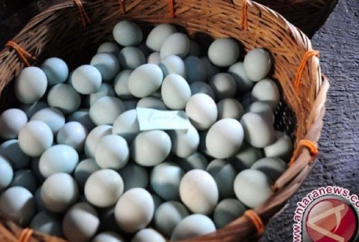 Berikut Ini 3 Fakta Menarik Soal Telur Asin, Simak! - GenPI.co RIAU
