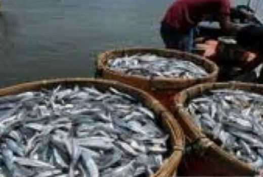 Cegah Stunting, Wagub Riau Ajak Warga Makan Ikan - GenPI.co RIAU