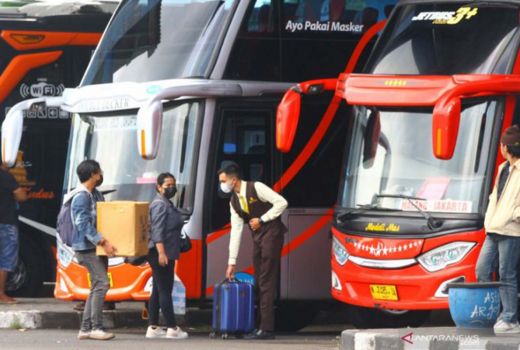 Harga Tiket Bus Rute dari Pekanbaru ke Jakarta Besok, Cek! - GenPI.co RIAU
