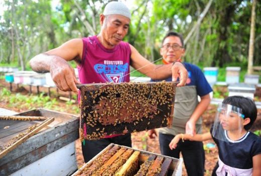 3 Manfaat Lilin Lebah untuk Kesehatan, Bibir Jadi Lembut! - GenPI.co RIAU