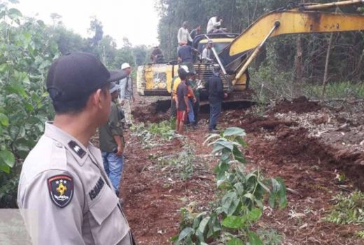 Seorang Wanita di Kampar Tewas Diterkam Harimau Sumatera - GenPI.co RIAU