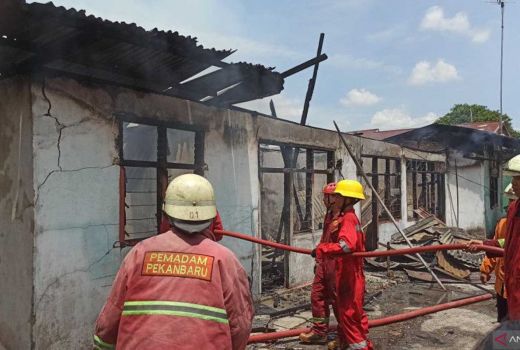 Kebakaran di Permukiman Padat Pekanbaru, 5 Rumah Hangus - GenPI.co RIAU