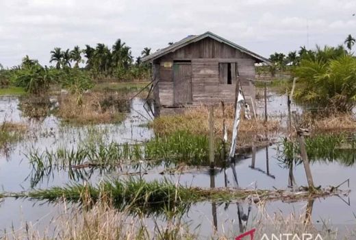 Banjir di Kuala Sebatu, Pemkab Inhil Tetapkan Status Siaga Darurat - GenPI.co RIAU