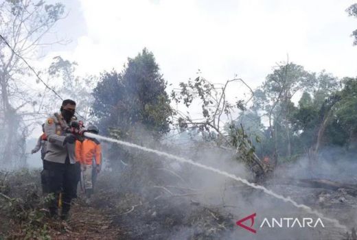 Top! Begini Strategi Riau Hadapi Ancaman Karhutla pada 2023 - GenPI.co RIAU