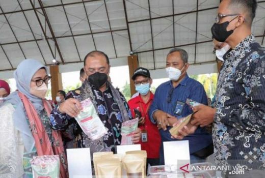 Indragiri Hilir Jadi Pemda Tertinggi Serapan Dana Desa 2022 Ini - GenPI.co RIAU