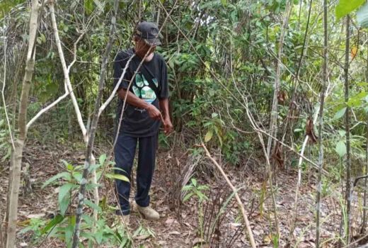 Selamatkan Satwa Liar, Tim Gelar Operasi Sapu Jerat di Siak - GenPI.co RIAU