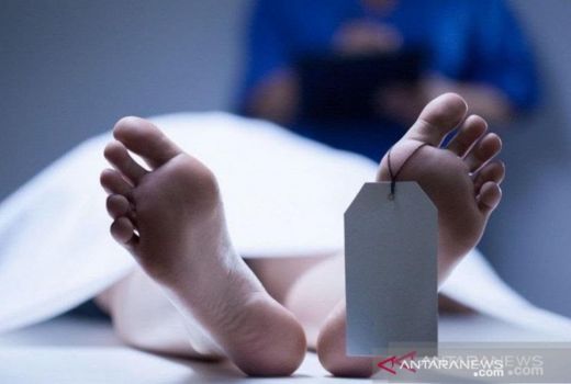 Nelayan Temukan Mayat Perempuan Mengapung di Sungai Siak - GenPI.co RIAU