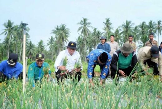 Bupati Meranti Beber Alasan Wilayahnya Beli Bawang dari Malaysia - GenPI.co RIAU
