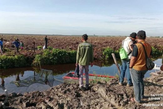 Buaya Terjebak, BBKSDA Riau Belum Berhasil Evakuasi - GenPI.co RIAU