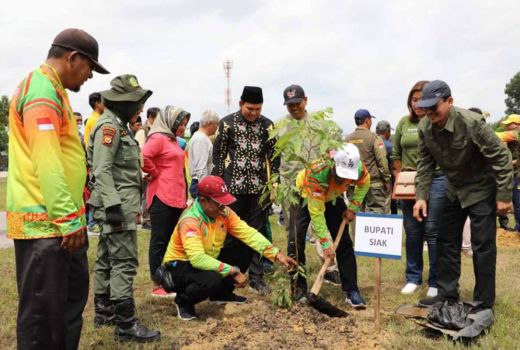 Dongkrak Ekonomi, DLHK Riau Bagikan 10 Ribu Bibit Pohon di Siak - GenPI.co RIAU