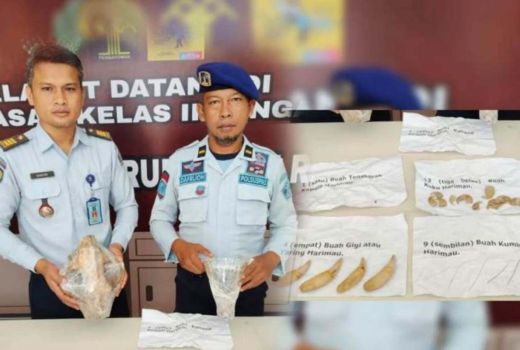 Harimau Dibunuh, Polres Inhu Titipkan Tulangnya ke Kemenkumham Riau - GenPI.co RIAU