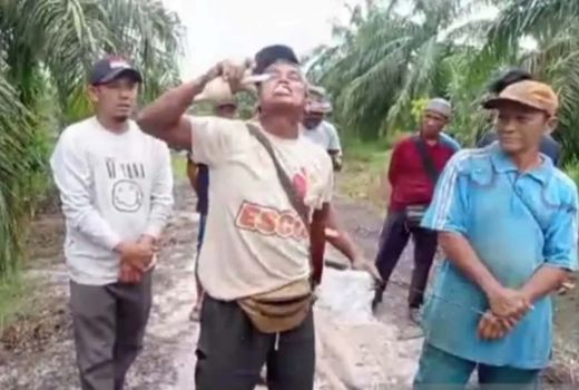 Konflik Lahan dengan PT DSI, Petani di Siak Makan Kaca Bola Lampu - GenPI.co RIAU