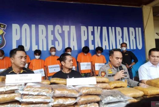 Polresta Pekanbaru Sita 73 Kg Ganja yang Hendak Dikirim ke Jakarta - GenPI.co RIAU