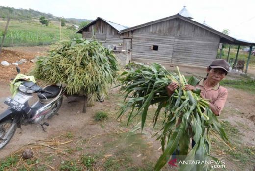 Desa Tertinggal di Riau Banyak Ditemui di Kampar dan Meranti - GenPI.co RIAU