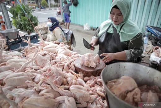 Bahan Pokok di Pasaran Kota Pekanbaru Naik, Ada Cabai dan Ayam - GenPI.co RIAU