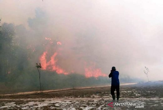 Karhuta di Riau, BPBD Catat Sudah Hanguskan 131,44 Hektare Lahan - GenPI.co RIAU