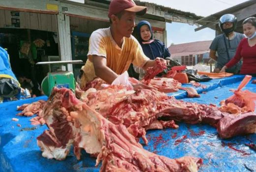 Menjelang Ramadan, Permintaan Daging Sapi di Pekanbaru Meningkat - GenPI.co RIAU