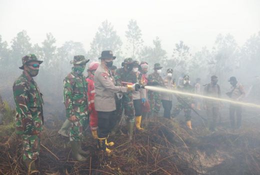 Polisi Sebut 85 Persen Karhutla di Riau Sudah Teratasi - GenPI.co RIAU