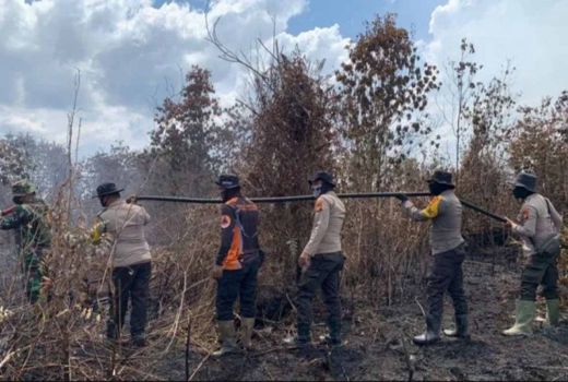 Karhutla di Cagar Biosfer Giam Siak Kecil Bengkalis Berhasil Dipadamkan - GenPI.co RIAU