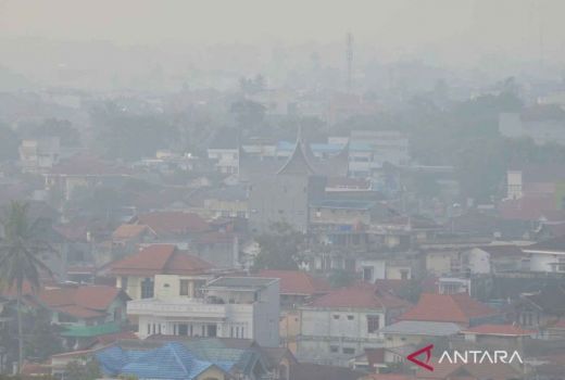 Riau Diselimuti Kabut Asap Akibat Dampak Karhutla di Pelalawan dan Inhu - GenPI.co RIAU