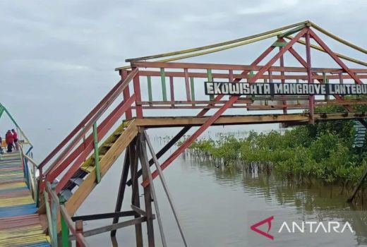 Hutan Mangrove Lantebung, Lorong Wisata Top di Makassar Sulsel - GenPI.co SULSEL