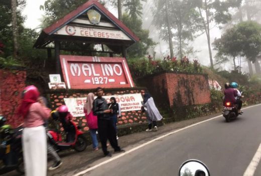 Hutan Pinus Malino Jadi Tempat Healing Paling Top di Sulsel, Cobain Yuk - GenPI.co SULSEL