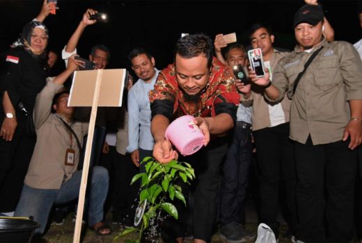 Gubernur Sulsel Rindu Kejayaan Jeruk Keprok di Kepulauan Selayar - GenPI.co SULSEL
