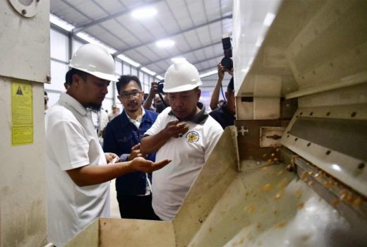 Gubernur Sulsel Bangga Punya Pabrik Benih Jagung di Maros - GenPI.co SULSEL