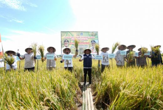 Gubernur Sulsel Happy, Petani Semakin Cinta Mandiri Benih - GenPI.co SULSEL