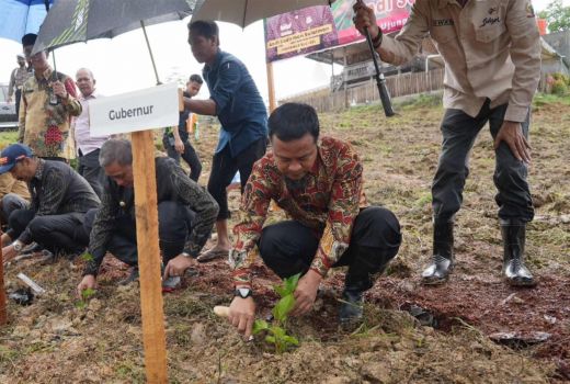 Gubernur Sulsel Pengin Kembalikan Kejayaan Sutra, Wow Banget - GenPI.co SULSEL