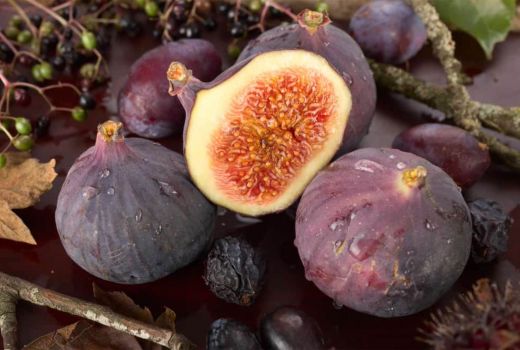7 Khasiat Buah Tin, Cegah Kanker Hingga Atasi Disfungsi Ereksi - GenPI.co SULTRA