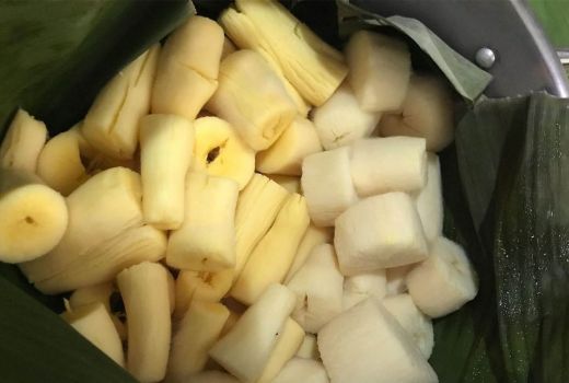 Boleh Nggak Sih Busui Makan Tapai? Begini Kata Ahli - GenPI.co SULTRA