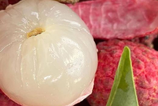 Si Kecil Leci Mampu Cegah Beragam Penyakit Kronis, Apa Saja? - GenPI.co SULTRA