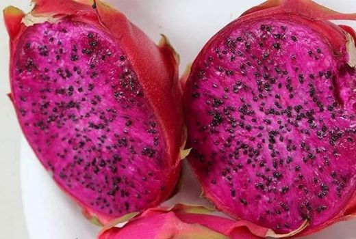 Manfaat Melimpah Buah Naga yang Wajib Anda Tahu - GenPI.co SULTRA